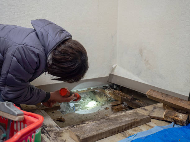 Best Dehumidification Services  in Riverside, MO
