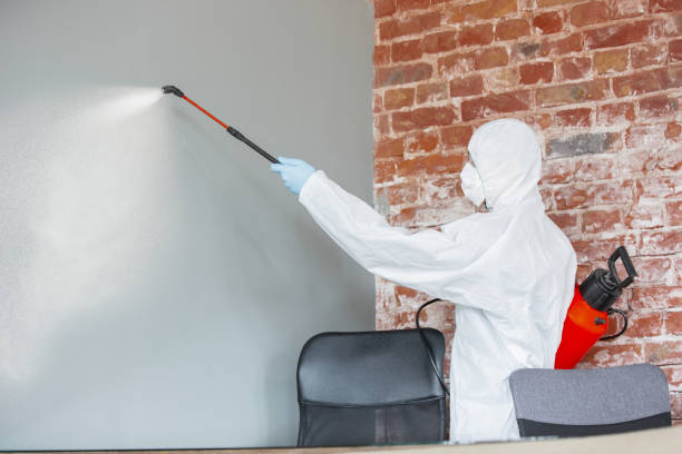 Riverside, MO Mold Removal Company